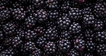 BlackBerry IVY präsentiert Zukunft der vernetzten Fahrzeuge auf der CES (Foto: AdobeStock - Melica 286371147)