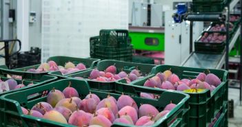 Cargoclix präsentiert auf der FRUIT LOGISTICA innovative (Foto: AdobeStock - JackF 446531076)