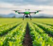 Nachhaltige Lieferprozesse für landwirtschaftliche Produkte mit Precision Farming (Foto: AdobeStock - 913576282 Pachara)